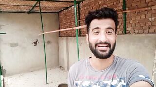 Good improvement In My Baby Dove????-- Pets Vlog