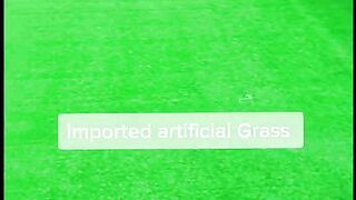 artificial grass