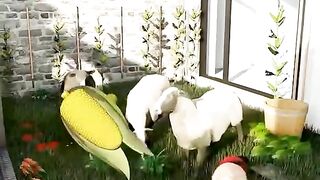 house design