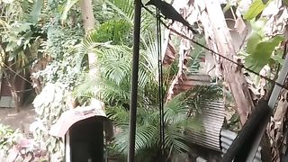 There was a crow in the garden