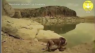 Sher ka shikari
