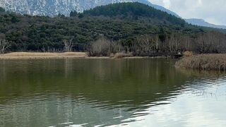 River Mountain Trees Forest Cloudy
