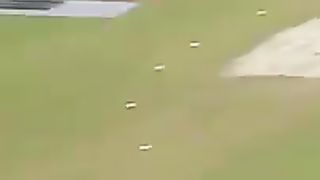 Cricket video