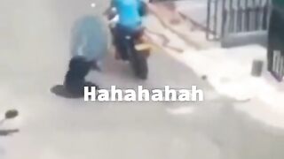 Funny videos