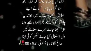 Urdu  poetry video