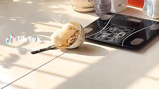 Chick.