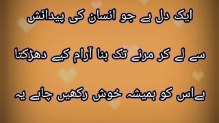 انسان کے پورے وجود میں صرف ایک دل ہے جو انسان کی پیدائش سے لے کر