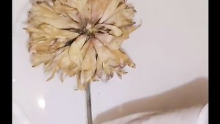 Resin art preserve some flower
