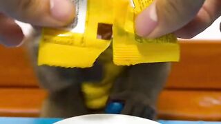 Amazing video