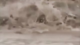 Amazing video