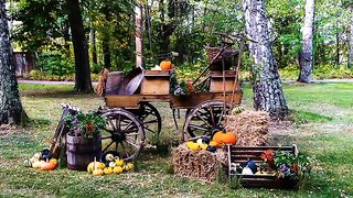 Amazing nature scenery | Relaxing music |stress relief music