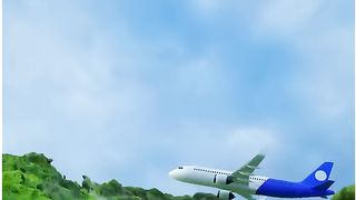 What if a Bird hits Aeroplane_shorts