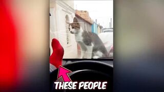 attention au KARMA