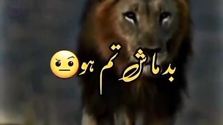 Poetry ghreeb