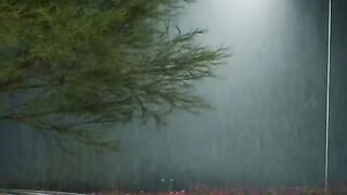 Amazing vedio