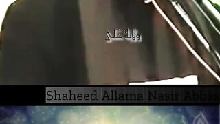 علامہ ناصر عباس آف ملتان