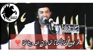 علامہ ناصر عباس آف ملتان