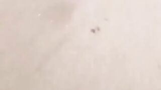 Funny videos