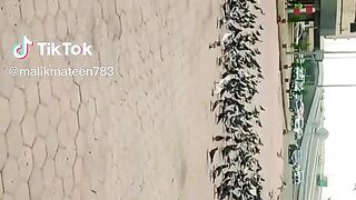 Tiktook video