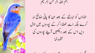 Sehat ko Behtar Banane k Totken Health Care