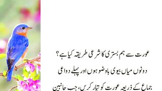 Bivi ke Sat Hambistri Ka Shari Tarika Kia Hai __ Health Care & Hadees