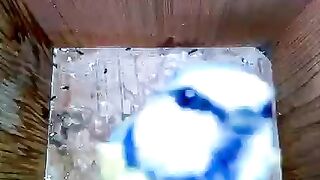 Tiny Bird