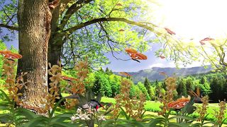 Healing By Beautiful Landscape