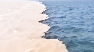 Fakt monacooo___like ❤️ obuna boʻling ✅3PSedYSfNb7UxiVzZFaq9TFqjRj4NGdNxN