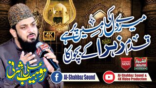 Mere dil Ki Zameen Par Hai Qadam Zahra K Bacho Ka || Zohaib Ashraf || Al Shahbaz Sound