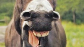 L'appel trop con????