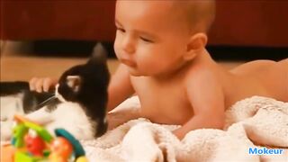 Quand les Chats et Bébés s'amusent ensemble