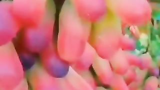 Beautiful voice