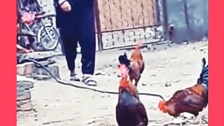 Haaaaa????????????????????????????????????