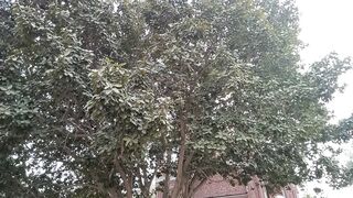 Historical place in chiniot pakistan
