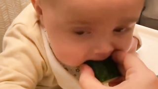 Funny video????????