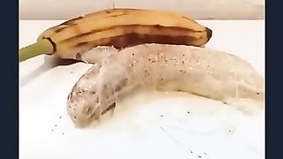 Miracle of Allah