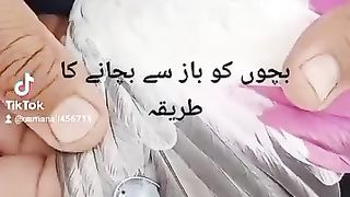 Pegion Baby Safe From Aqaab Idea