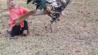Animal friendship