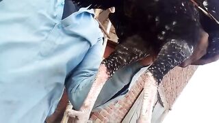 Aseel pattha