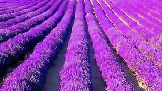 Paisagem