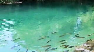Natureza