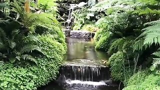 Relaxing music | stress relief music