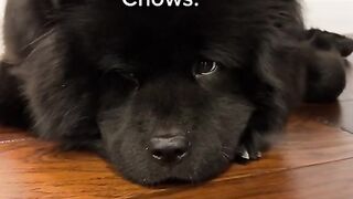 Very Important