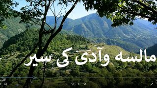 Documentary on Malsa Valley | ZW