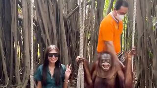 #Monkey#9947Asim#viral video#