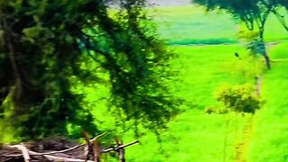 Village life so beautiful