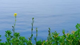 Beauty of Nature