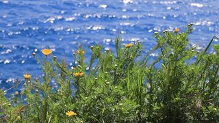 Beauty of Nature