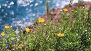 Beauty of Nature