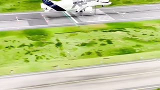 Beluga landing